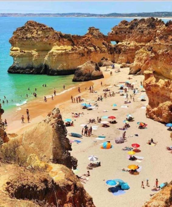 Quinta Chalet Alcantarilha Kültér fotó